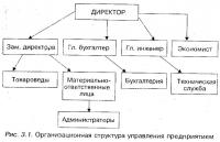 Рис. 3.1. Организационная структура управления предприятием