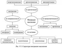 Рис. 9.1. Структура миграции населения